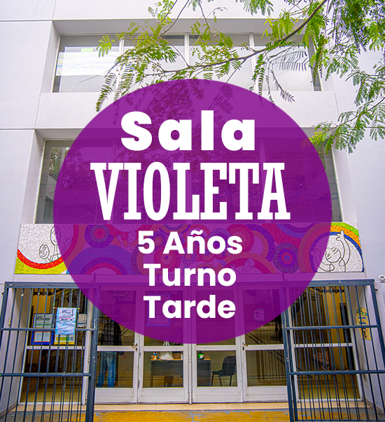 sala violeta turno tarde